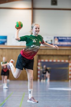 Bild 151 - wDJ HSG Kremperheide/Muensterdorf - TSV SR Schuelp : Ergebnis: 26:5
